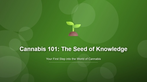 Cannabis 101: The Seed of Knowledge