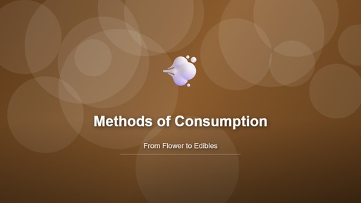 Methods of Consumption: From Flower to Edibles
